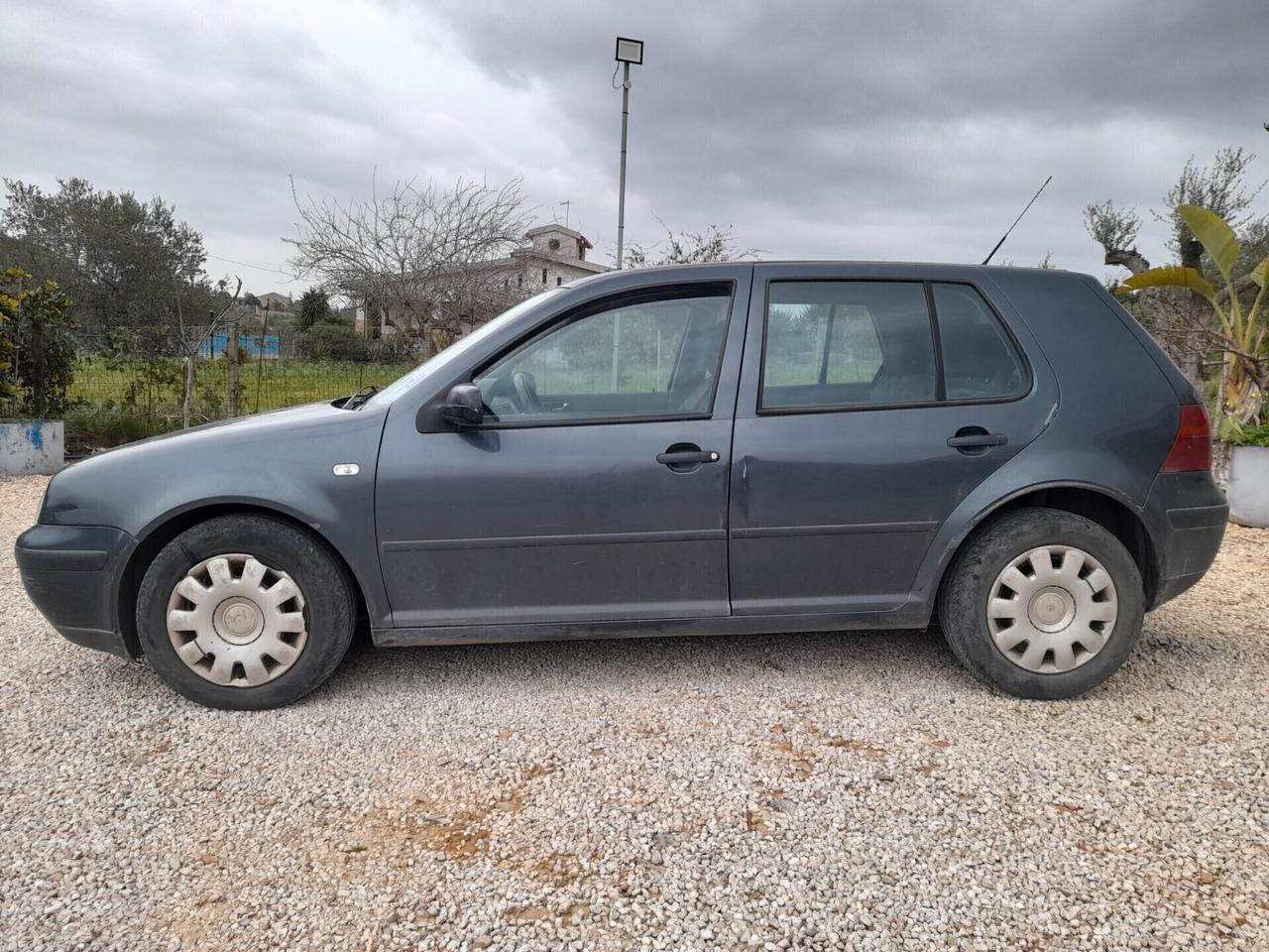 Volkswagen Golf 1.9 TDI/110 CV cat 5p. Comfortline