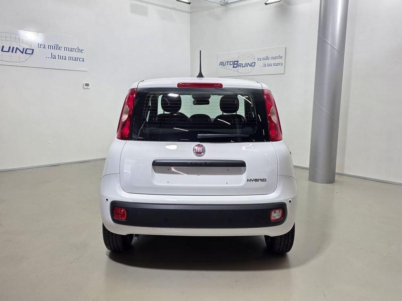 FIAT Pandina Pandina 1.0 firefly hybrid Icon s&s 65cv con BONUS EASY GO'