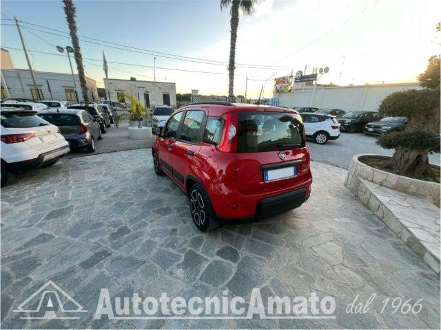 FIAT Panda 3° serie 1.0 FireFly S&S Hybrid City Life