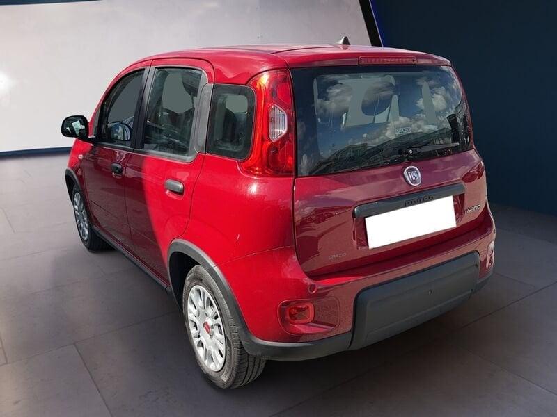 FIAT Panda My24 1.0 70cv Hybrid Panda