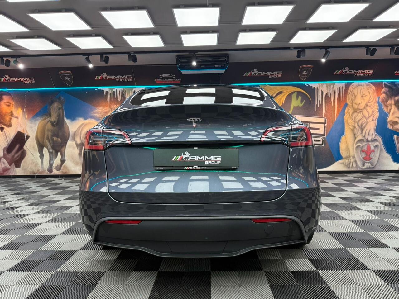 Tesla Model Y RWD (222)