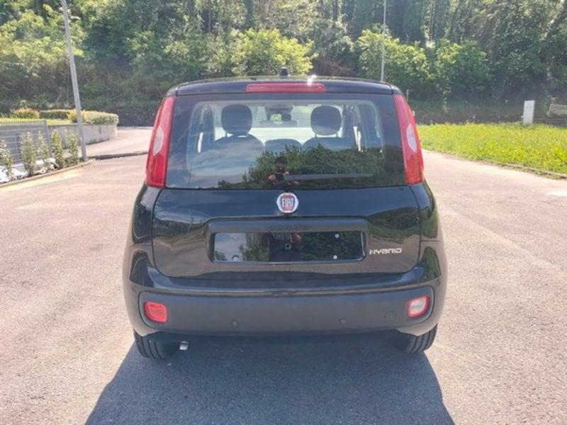 FIAT Pandina 1.0 FireFly 65cv S&S 6m Hybrid Icon