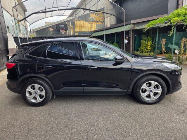 FORD Kuga 1.5 EcoBlue 120 CV aut. 2WD Connect