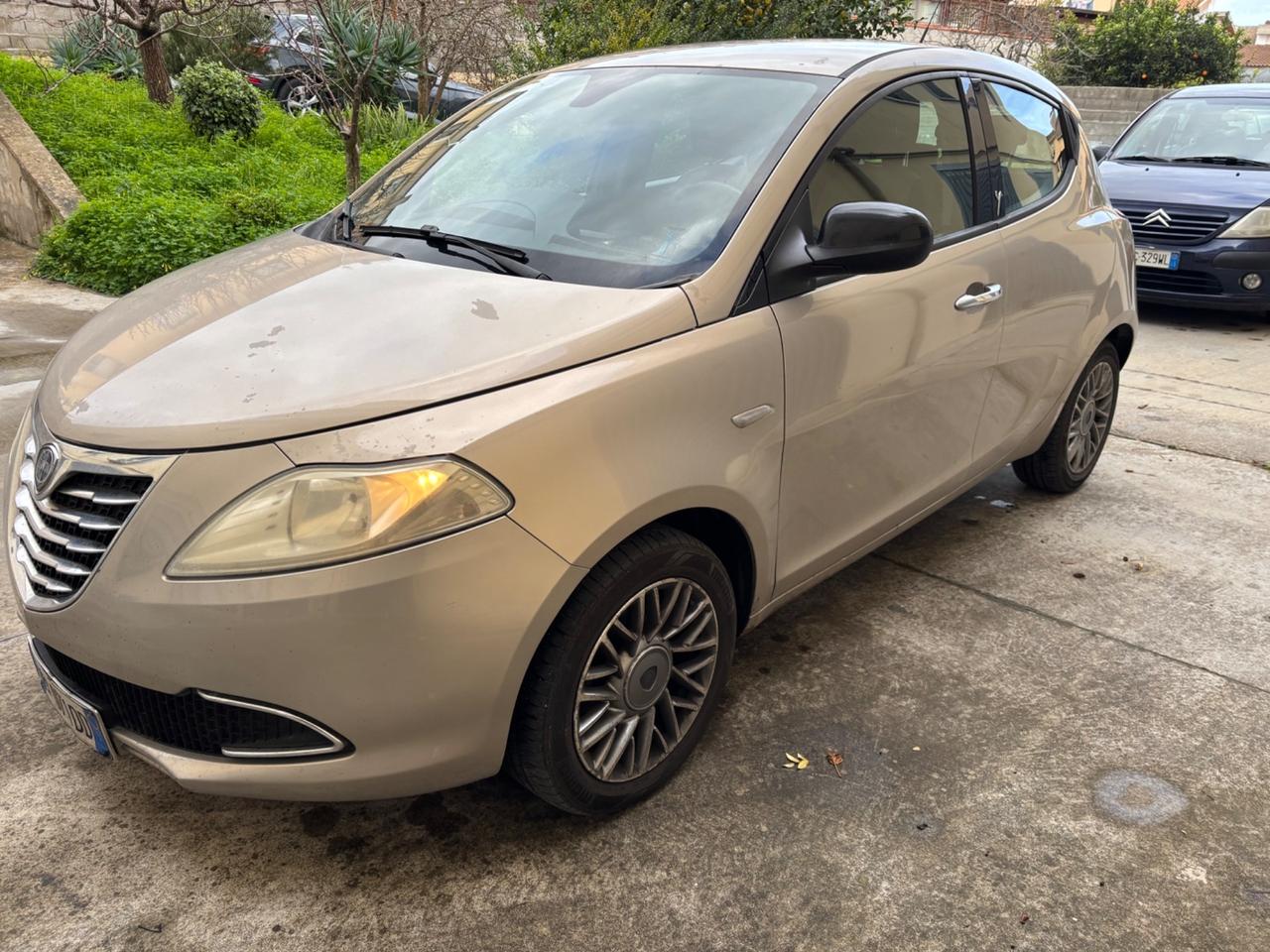 Lancia Ypsilon 1.3 MJT 16V 95 CV 5 porte S&S Platinum