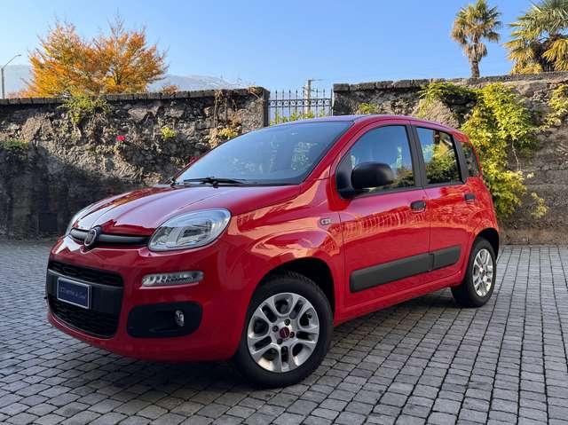 Fiat Panda 1.2 Easy *OK Neopatentati*