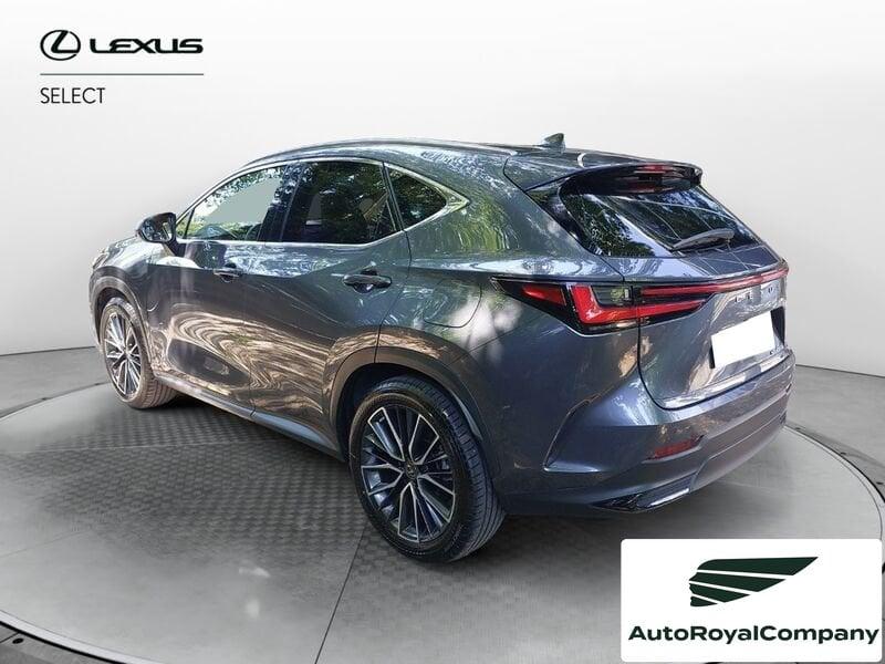 Lexus NX Plug-in Luxury 4WD MY22