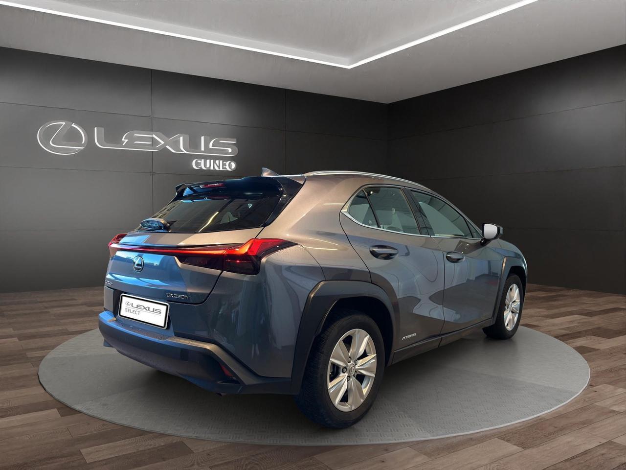 Lexus UX 250h 2.0 Business 2wd cvt my20