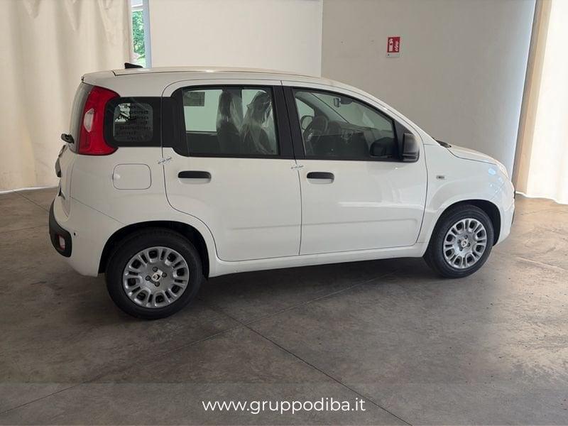 FIAT Pandina 1PA My26 1.0 65cv Hybrid Icon