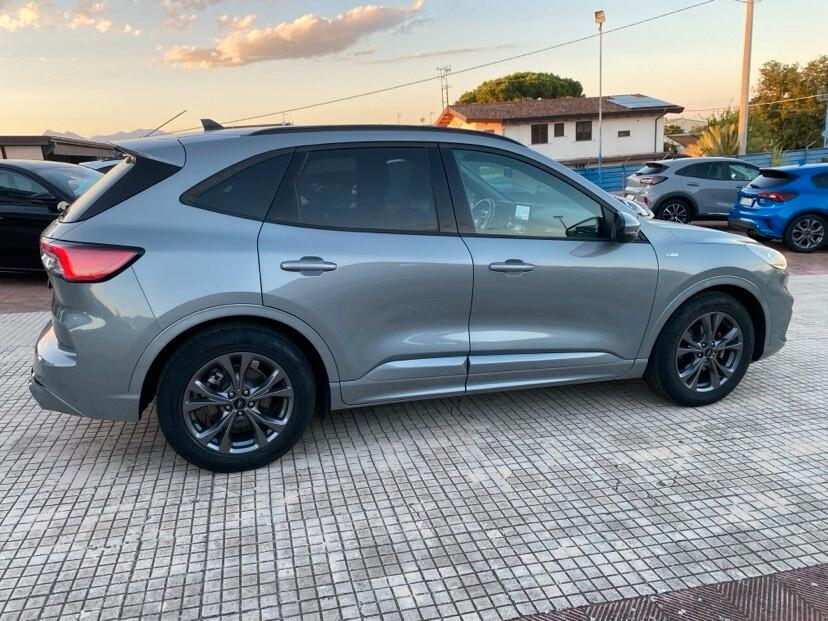 Ford Kuga 1.5 EcoBlue 120 CV 2WD ST-Line