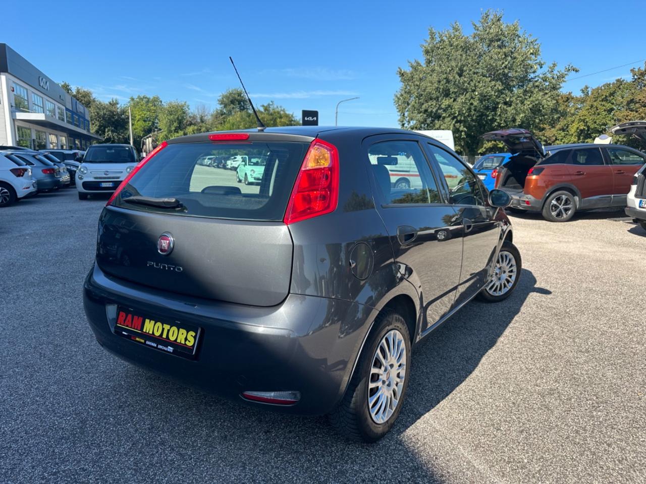 Fiat Punto 1.2 8V 5 porte Street NEOPATENTATI