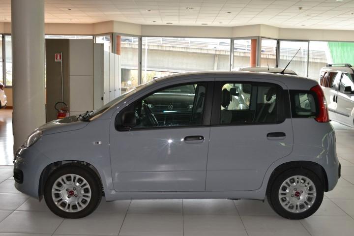FIAT PANDA - 1.0 70cv HYBRID