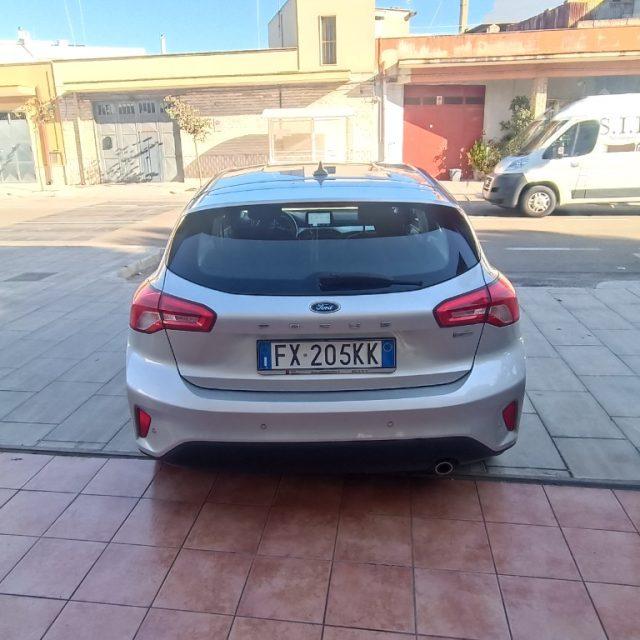 FORD Focus 1.5 EcoBlue 120 CV 5p. Business