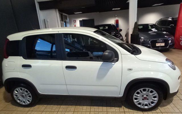 FIAT Panda 1.0 S&S Hybrid Van 2 posti