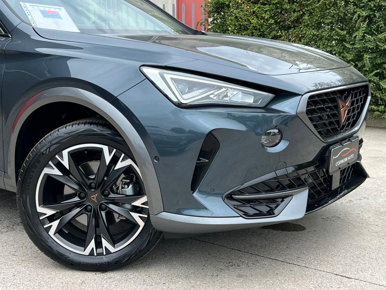 Cupra Formentor 2.0 TDI DSG 4DRIVE - *PROMOZIONE*