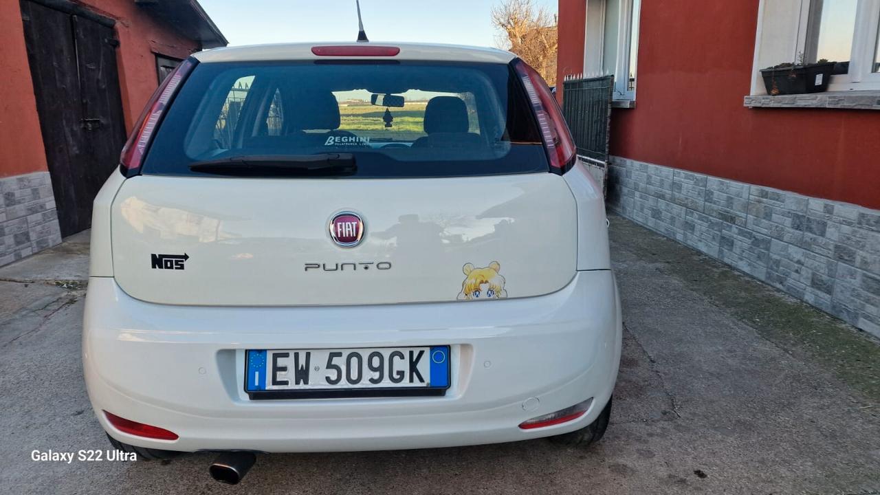 Fiat Punto 1.4 8V 5 porte Easypower Lounge gpl nuovo