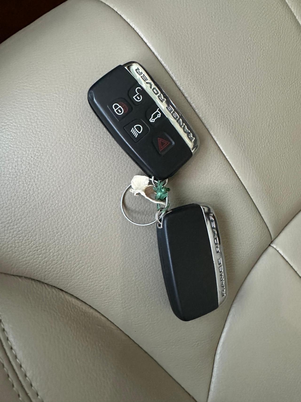 Land Rover Range Evoque 2.0 TD4 150 CV 5p. HSE