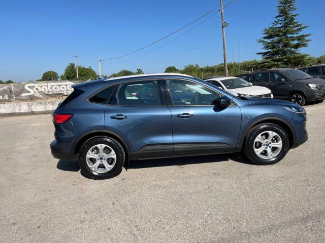 FORD Kuga 1.5 EcoBlue 120 CV 2WD Titanium