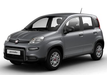 Fiat Panda 1.0 FireFly S&S Hybrid in arrivo