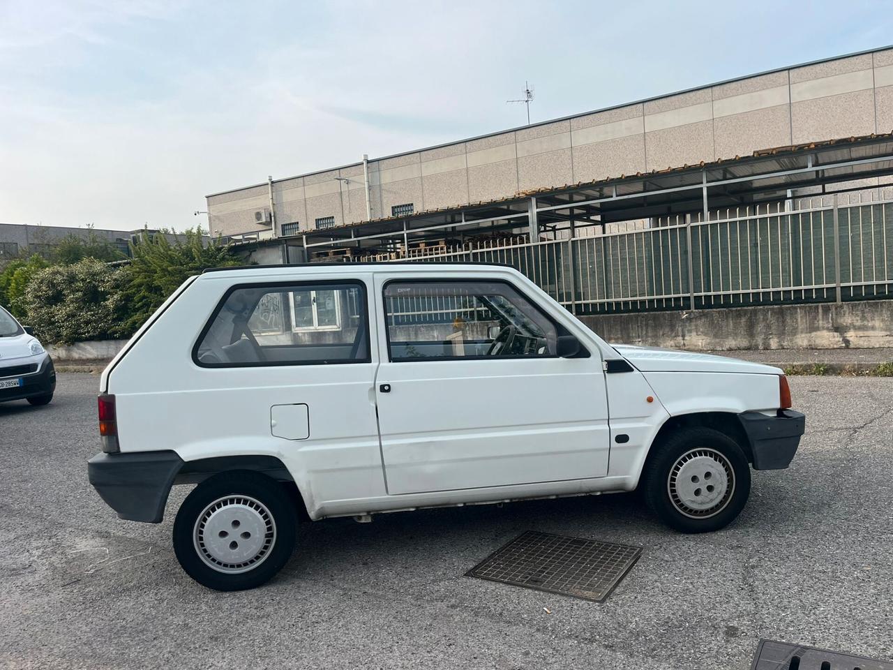 Fiat Panda 1100 i.e. cat Young