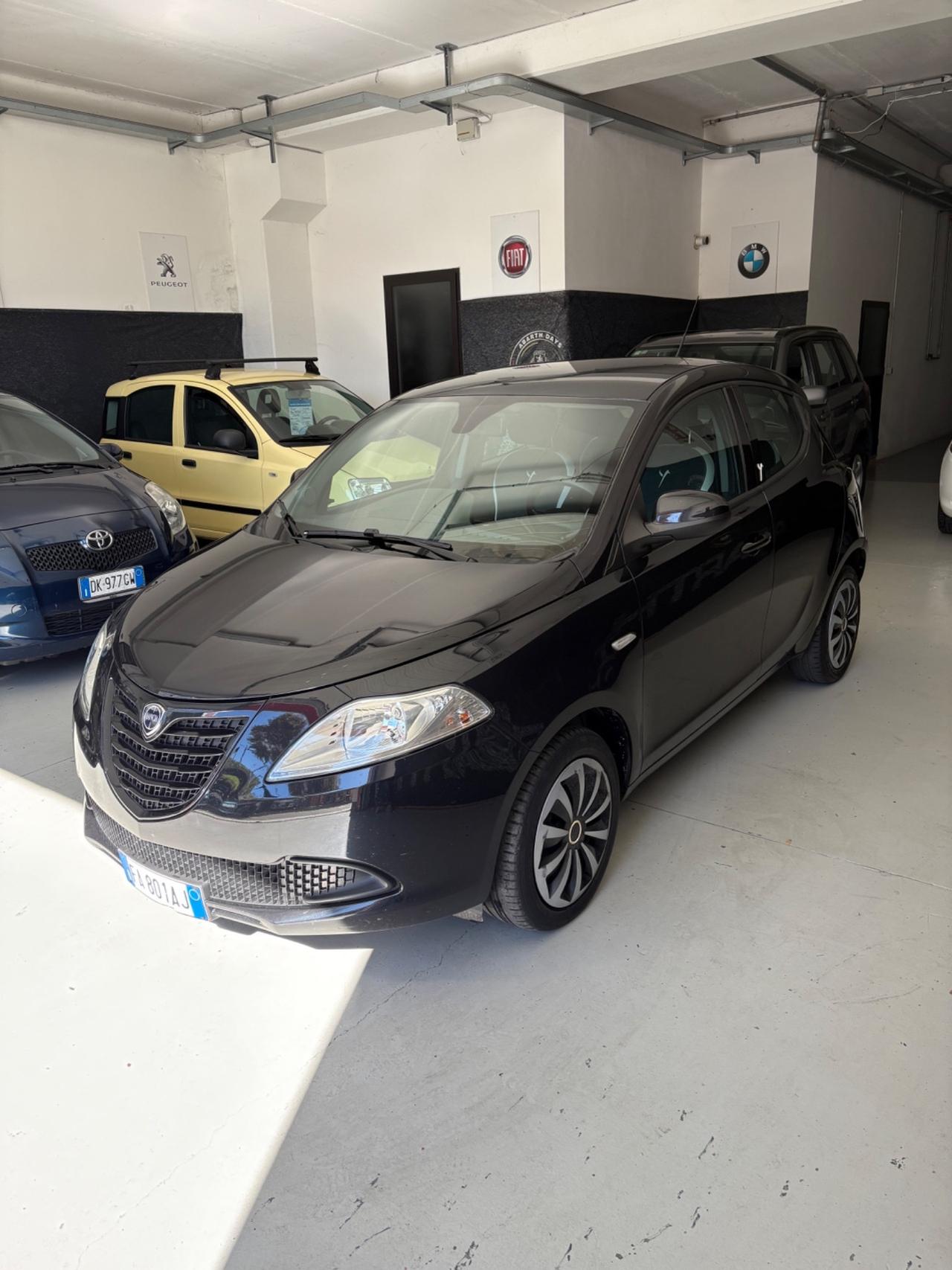 Lancia Ypsilon 1.2 69 CV 5 porte Elefantino