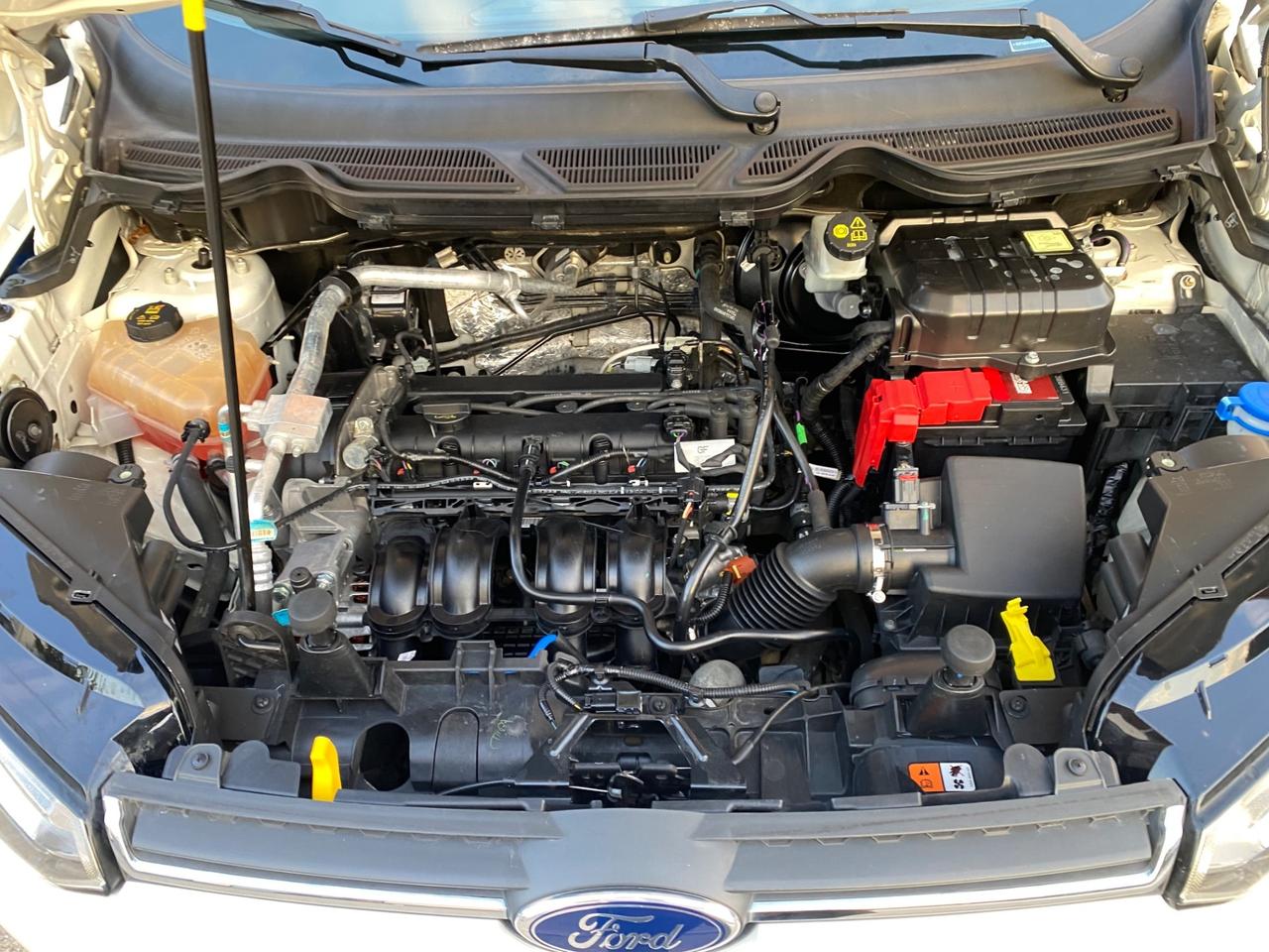 Ford EcoSport 1.5 110 CV Business Titanium NEOPATENTATI!!!