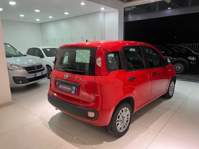 FIAT Panda 1.2 EasyPower gpl da ?119,00 mensili