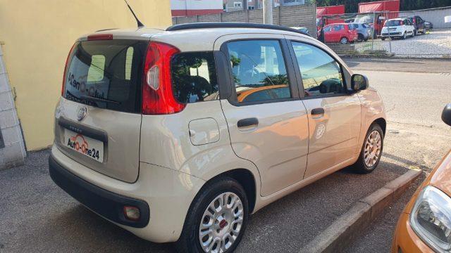 FIAT Panda 1.2 EasyPower Easy PREZZO REALE - NEOPATENTATI
