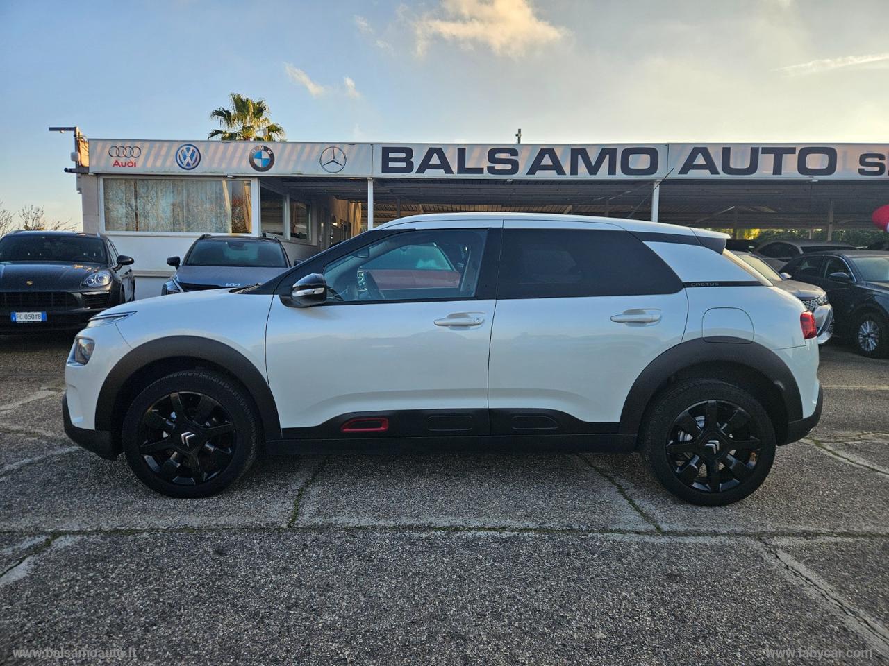 CITROEN C4 Cactus BlueHDi 100 S&S Shine N1