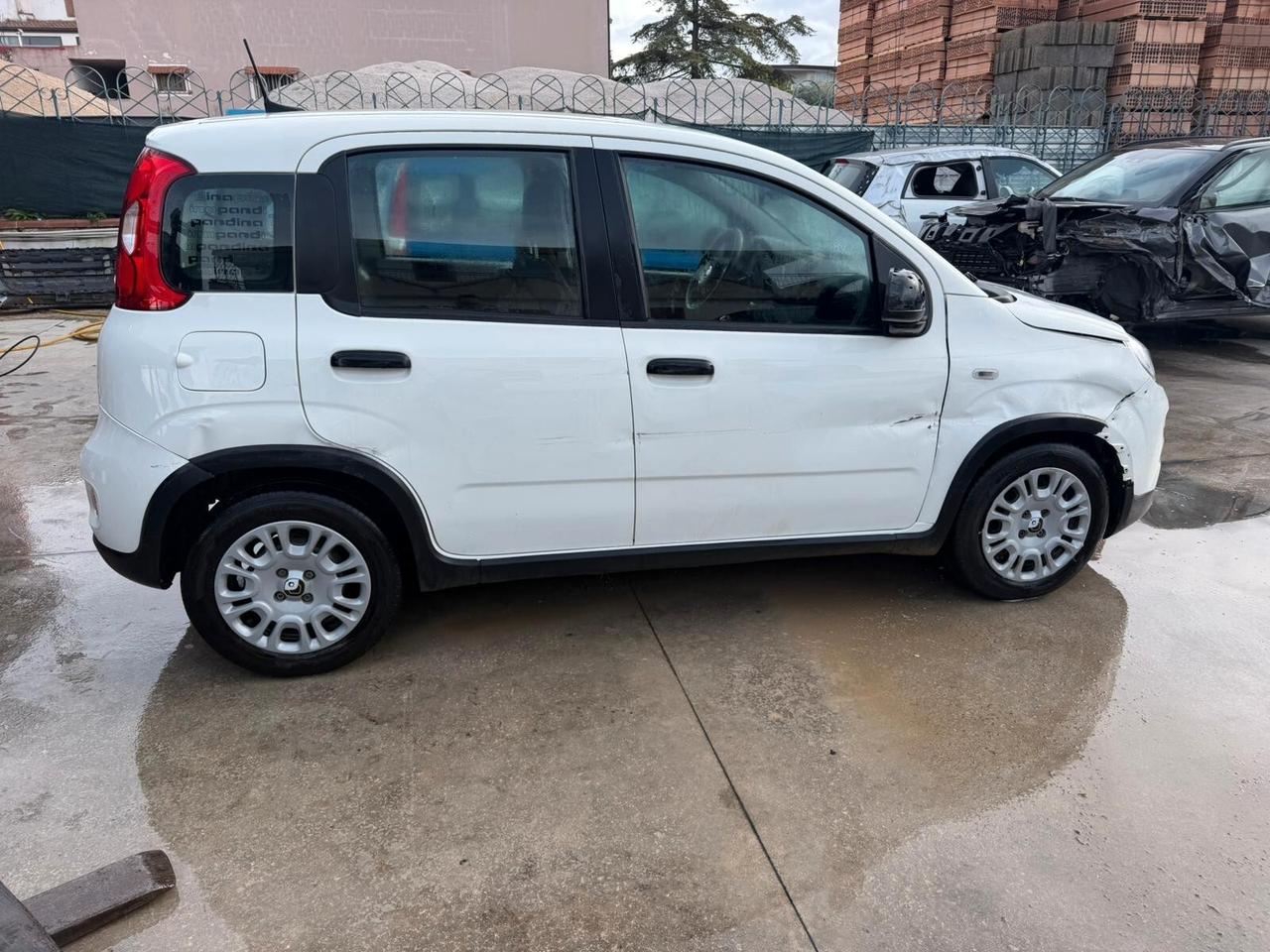 Fiat Panda 1.0 Pandina - 2024