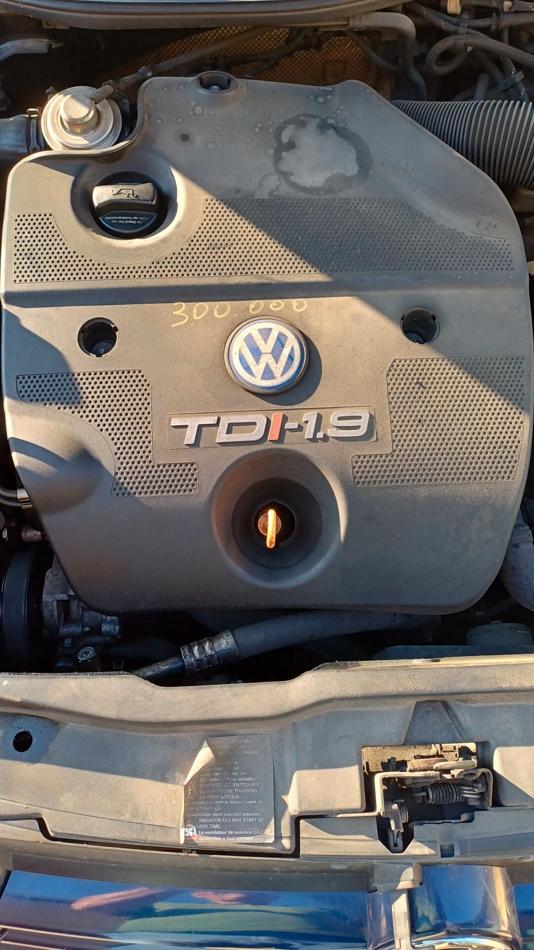 Volkswagen Golf 1.9 TDI/110 CV cat 5p.