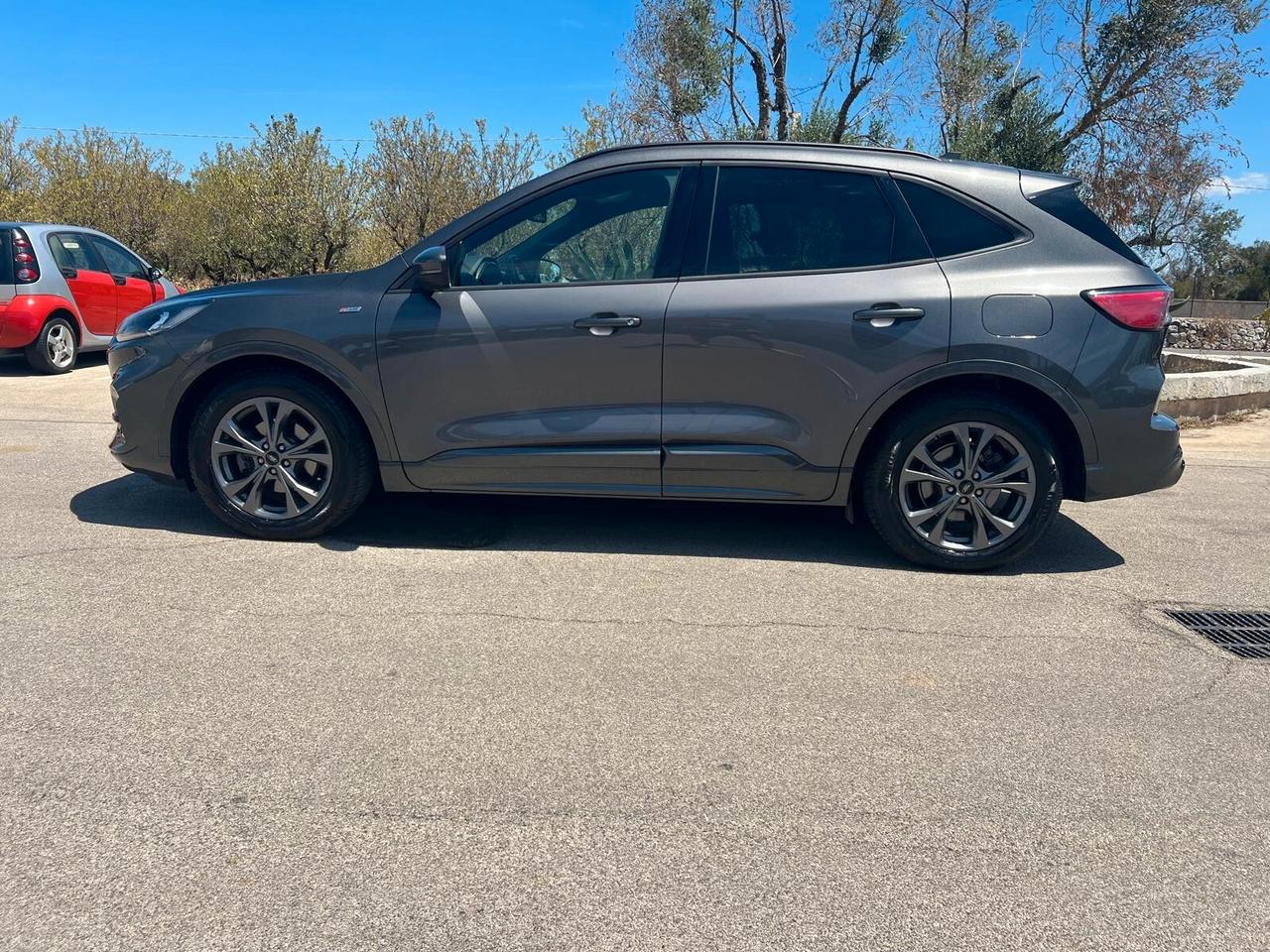 Ford Kuga 1.5 EcoBlue 120 CV 2WD ST-Line