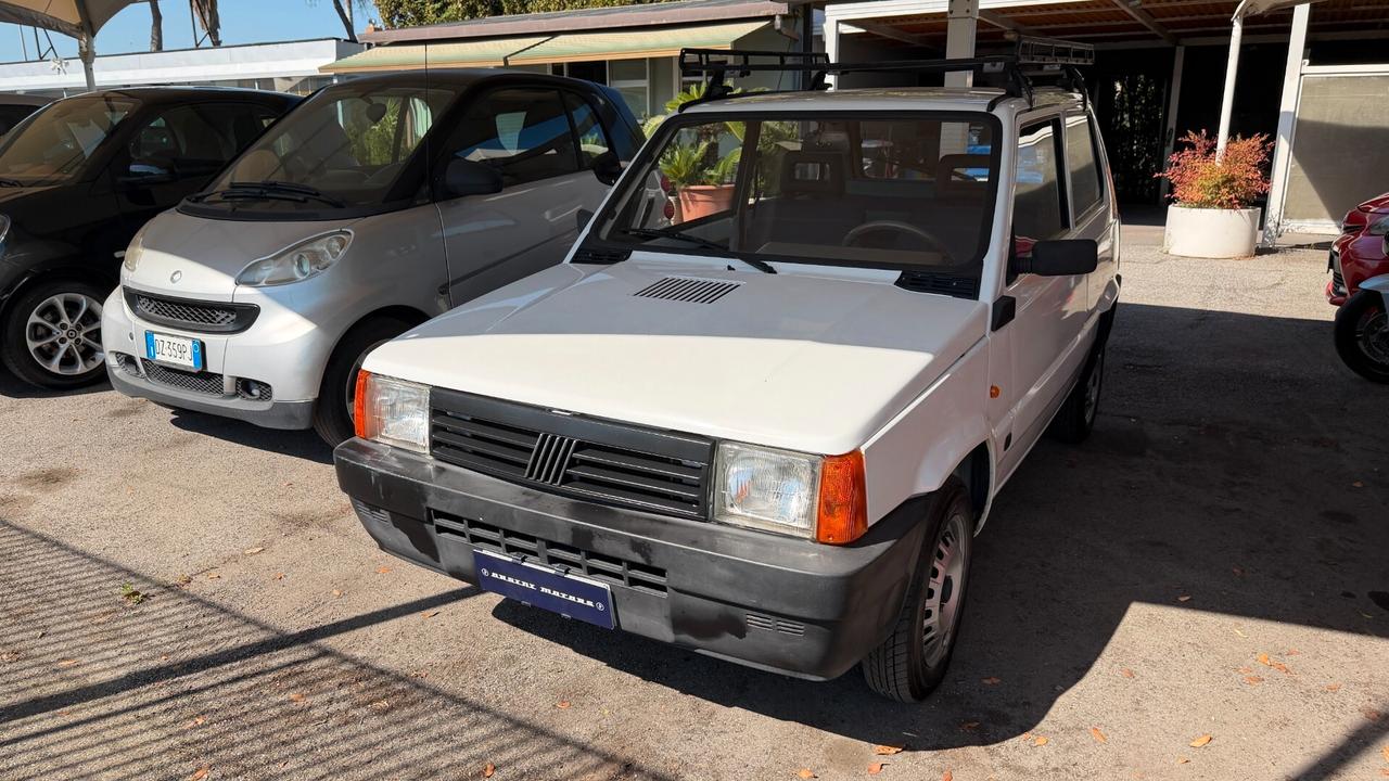 Fiat Panda 900 i.e. cat Young