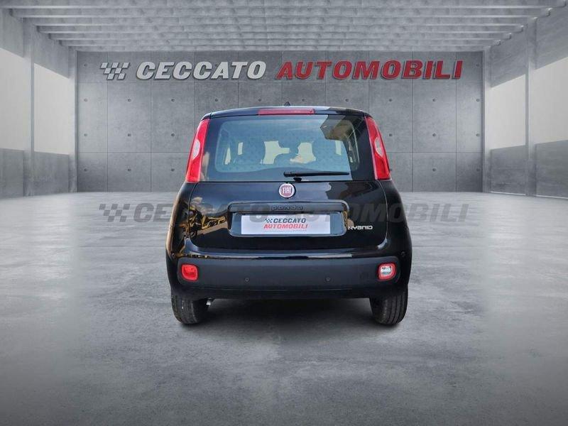 FIAT Panda Panda 1.0 firefly hybrid s&s 70cv 5p.ti