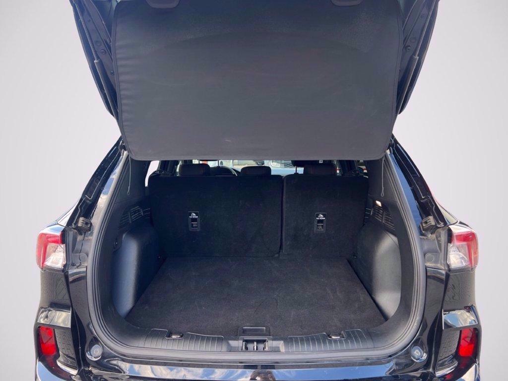 FORD Kuga 2.5 Full Hybrid 190 CV CVT 2WD ST-Line del 2022