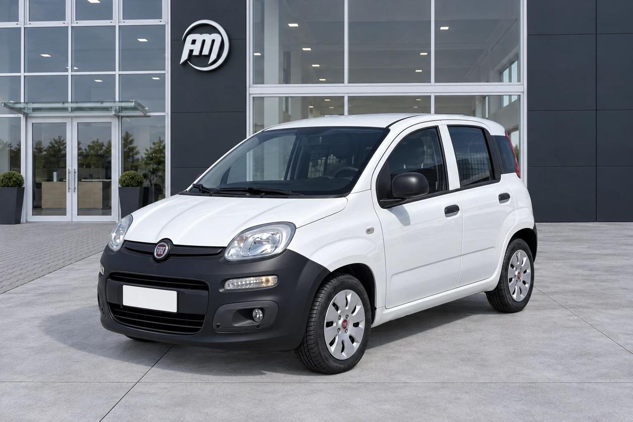 Fiat Panda 1.2 B/Gpl Van 2 posti