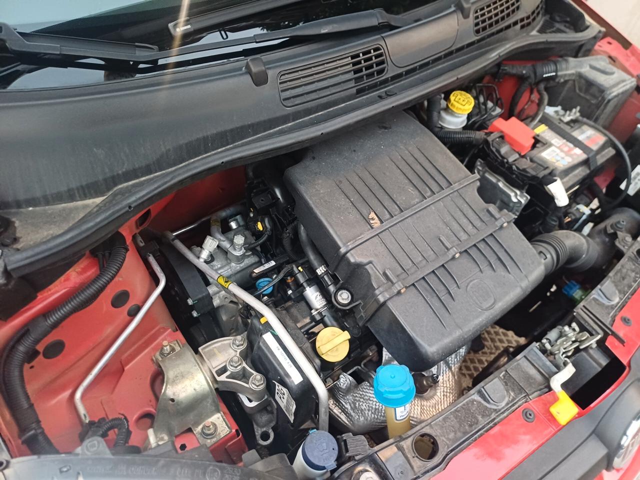 Fiat Panda 1.2 NEOPATENTATI TAGLIANDATA