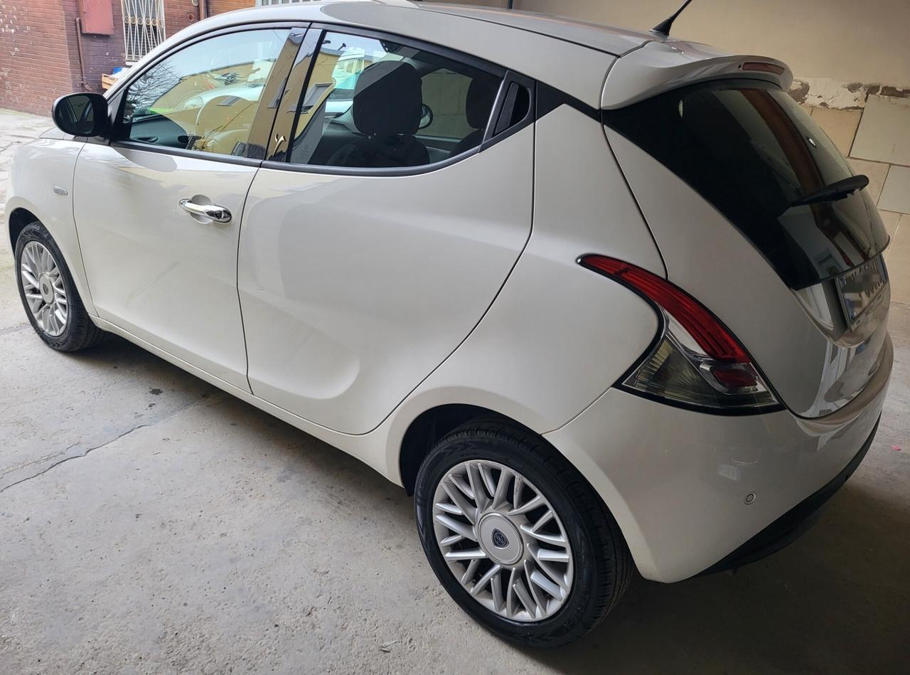 Lancia Ypsilon 1.2 69 CV 5 porte Gold
