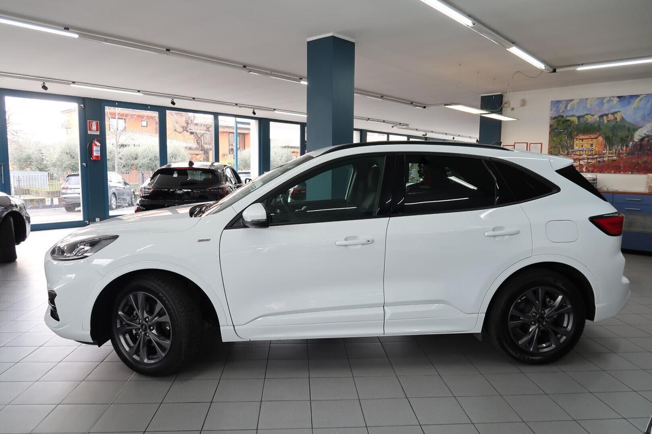 Ford Kuga 1.5 EcoBlue 120 CV aut. ST-Line