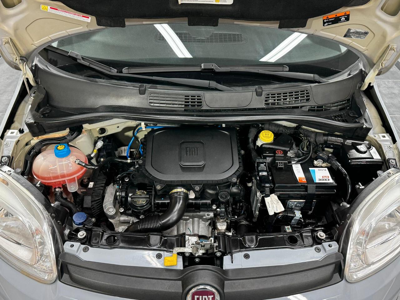 Fiat Panda 1.0 FireFly S&S Hybrid 70cv