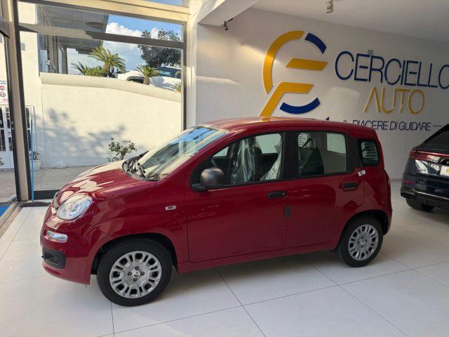 FIAT Panda 1.0 FireFly S&S Hybrid Pop da ?139,00 mensili