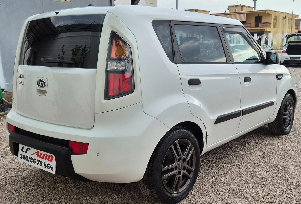 Kia Soul 1.6 CVVT Cool Bi-Fuel perfetta