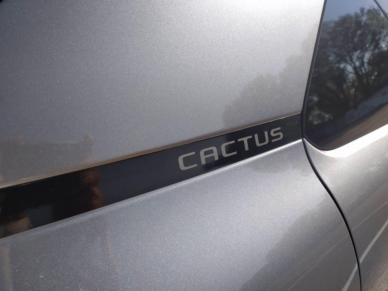 Citroen C4 Cactus Shine 1.5 Blue HDi 120 #11970