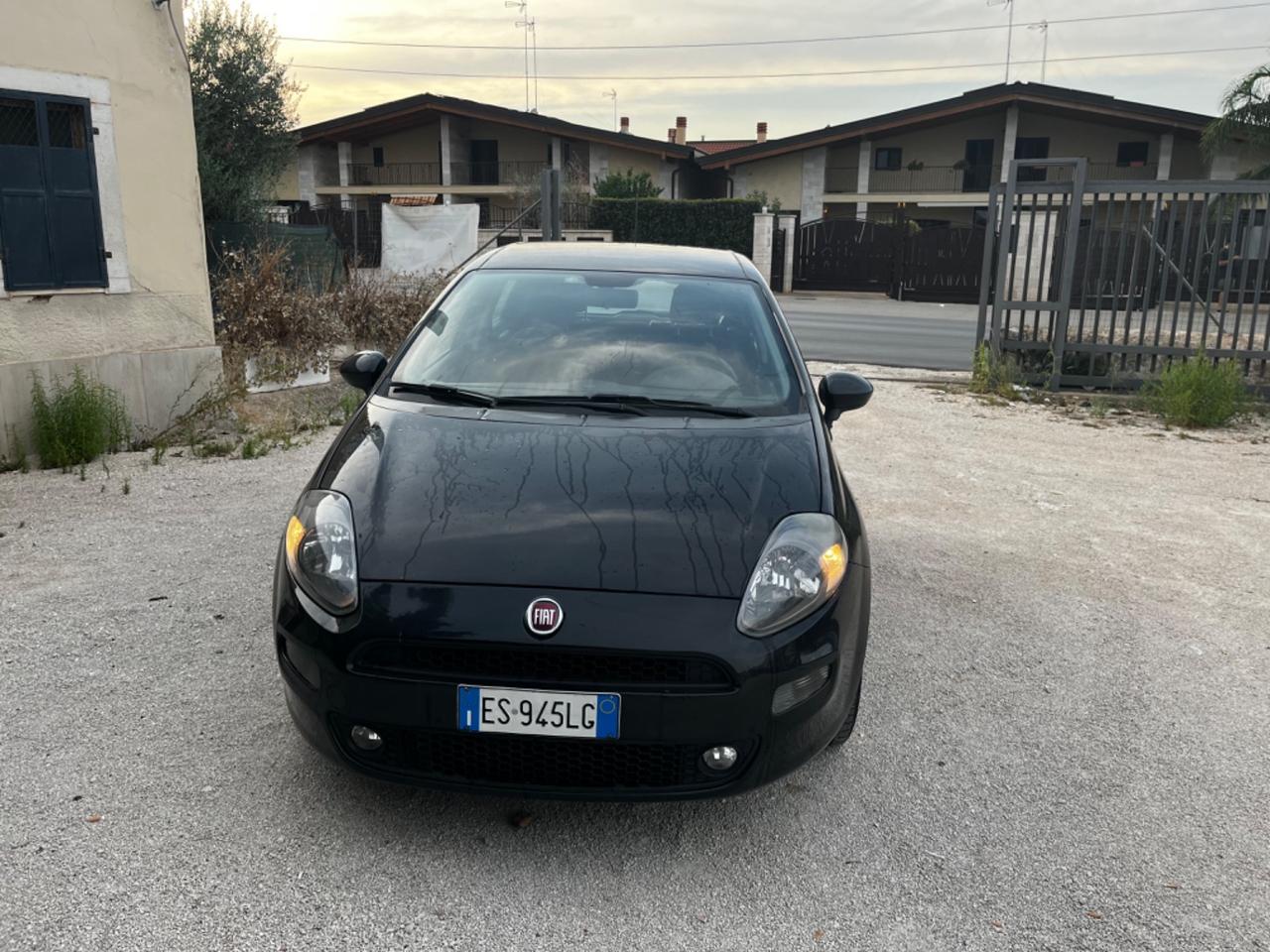 Fiat Punto 1.2 8V 5 porte Street adatta per neopatentato