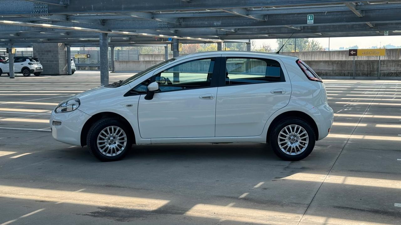 Fiat Punto 1.4 8V 5 porte Natural Power Lounge