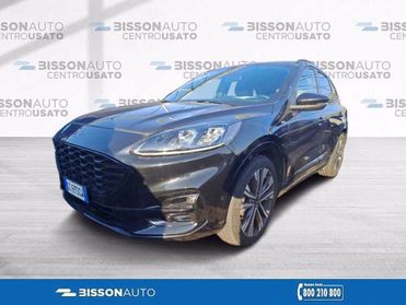 FORD Kuga 2.0 EcoBlue Hybrid 150 CV 2WD ST-Line X del 2020