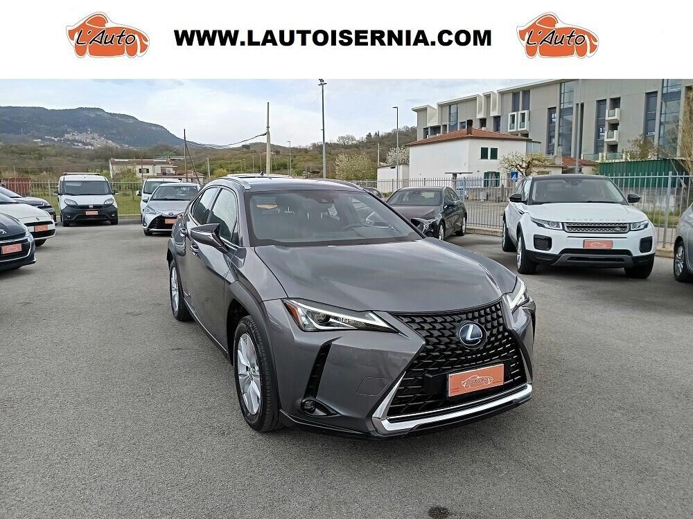 Lexus UX 250h 2.0 Business 2WD CVT MY20