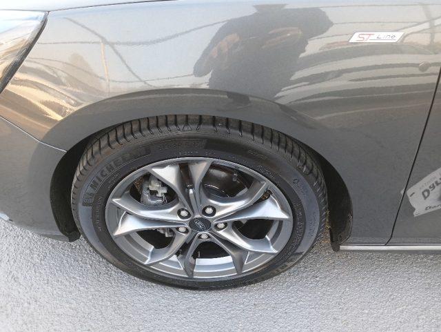 FORD Focus 1.0 EcoBoost 125 CV automatico 5p ST-Line Co-Pilot