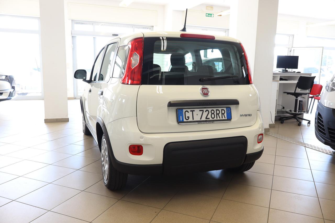 FIAT PANDA 1.0 70 CV FIREFLY HYBRID CITY LIFE - CONDIZIONI ECCELLENTI