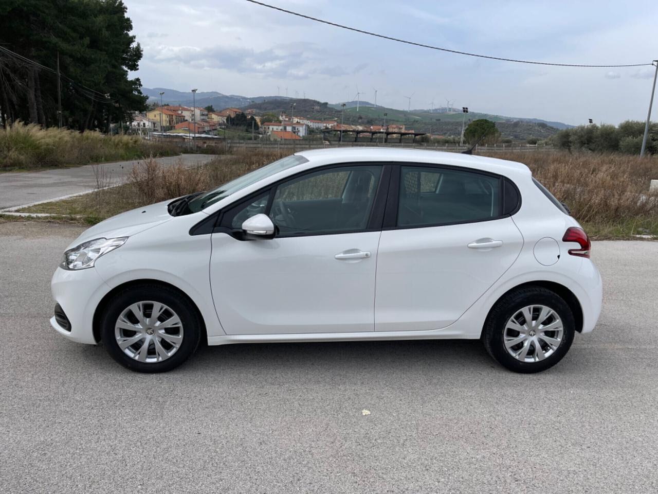 Peugeot 208 BlueHDi 100 S&S 5 porte Active Van 2 posti