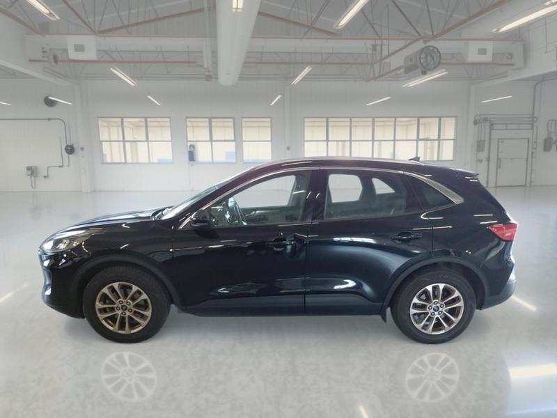FORD KUGA 1.5 ECOBLUE 120 CV 2WD TITANIUM BUSINESS AUTO SUV